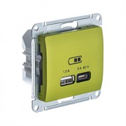 Glossa фисташковый USB розетка A + тип-C 45W высокоскоростная зарядка QC, PD, механизм GSL001029