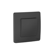 Systeme Electric Blanca внутр Антрацит Переключатель 1-клавишный IP44, 10A, 250В BLNVS410606 Systeme Electric Blanca внутр Антрацит Переключатель 1-клавишный IP44, 10A, 250В BLNVS410606