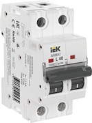 IEK ARMAT Автоматический выключатель M10N 2P L 40А AR-M10N-2-L040 IEK ARMAT Автоматический выключатель M10N 2P L 40А AR-M10N-2-L040