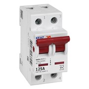 КЭАЗ OptiDin ВМ63PL Выключатель нагрузки 2P 125А 400В (BM63PL-2125-УХЛ3) 328167 КЭАЗ OptiDin ВМ63PL Выключатель нагрузки 2P 125А 400В (BM63PL-2125-УХЛ3) 328167