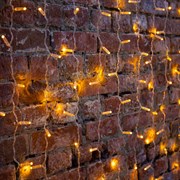 NEON-NIGHT Гирлянда "Светодиодный Дождь" 2х1,5м, постоянное свечение, прозрачный провод, 230 В, диоды ЖЁЛТЫЕ, 192 LED 235-301-6