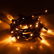 ЭРА Гирлянда ERAPS-NZ1 светодиодная новогодняя уличная нить 3 м желтая 30LED Б0060543