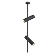 Maytoni Потолочный светильник Elti GU10 2x50Вт C021CL-02B