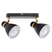 Arte Lamp A5047PL-2BK Светильник потолочный FAFNIR A5047PL-2BK