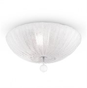 Maytoni Ceiling & Wall Sienna Хром Потолочный светильник 3xE27 60W C216-CL-03-N