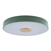 LOFT IT 10003/24 Green Светильник потолочный Axel, шт 10003/24 Green
