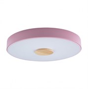 LOFT IT 10003/24 Pink Светильник потолочный Axel, шт 10003/24 Pink