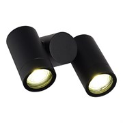 ST LUCE SL9011.402.02 Светильник уличный потолочный черный/белый GU10 2*50W SL9011.402.02