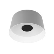 LOFT IT 10360M Grey Потолочный светильник Duo, шт 10360M Grey