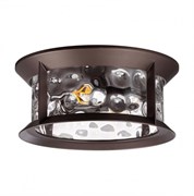 Odeon Light 4961/2C NATURE ODL22 577темно-коричневый/стекло Ландшафтный потолочный светильник E27 2*60W IP44 MAVRET 4961/2C