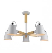 Arte Lamp A7141PL-5WH OSCAR Потолочная люстра A7141PL-5WH