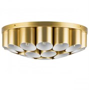 Lightstar Люстра потолочная Siena Lightstar 720222 720222