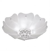 Lightstar Люстра потолочная Lobo Lightstar 804020 804020