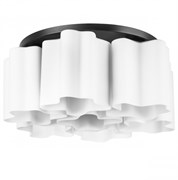 Lightstar Люстра потолочная Nubi Lightstar 802077 802077