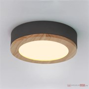 ImperiumLoft Потолочная люстра WUDDA D50 Серый 141163-26