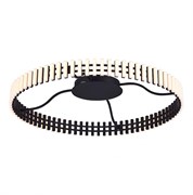 ST LUCE SL6203.402.50 Люстра потолочная Черный/Белый LED 1*50W 3000K SL6203.402.50