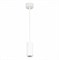 ST Luce ST600.533.10 Светильник подвесной Zoom Белый LED 1*10W 3000K 1 000Lm Ra>80 15-60° IP20 D59xH130 170-240VV ST600.533.10 - фото 101130