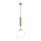 Freya FR5387PL-L14BS Pina Подвесной светильник Латунь FR5387PL-L14BS - фото 101695