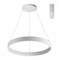 Novotech 358960 OVER NT22 белый Светильник подвесной диммируемый, в комплекте пульт ДУ (2.4G) IP20 LED 3000К~6000К 50W 220V ITER 358960 - фото 102575