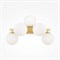 Maytoni Dallas Настенный светильник (бра) MOD547WL-05BS MOD547WL-05BS - фото 107575