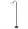 Lussole LGO Металл Черный / серый Акрил Торшер E27 10W GRLSP-0508 - фото 109356