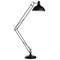 Arte Lamp A2487PN-1BK Goliath Торшер A2487PN-1BK - фото 109493