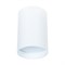 Arte Lamp A1517PL-1WH BEID Точечный накладной светильник A1517PL-1WH - фото 109770