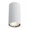 Arte Lamp A1516PL-1WH Точечный накладной светильник GU10 A1516PL-1WH - фото 109977