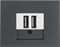 usb розетка | зарядка 260209  | 10357006 Berker - фото 48495