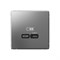 ArtGallery Сталь USB Розетка тип-С 65Вт высокоскоростная зарядка QC, PD, механизм GAL000927 - фото 68938