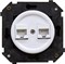 Bironi Шедель пластик белый розетка 2-ая RJ45 (скрытый монтаж) B3-302-21 - фото 69896