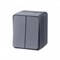Systeme Electric AtlasDesign Profi54 наружный антрацит выключатель 2-клавишный 10 АХ ATN544051 - фото 71625