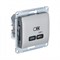 Glossa платина USB розетка тип-C 65W высокоскоростная зарядка QC, PD, механизм GSL001227 - фото 71718