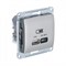 Glossa платина USB розетка A + тип-C 45W высокоскоростная зарядка QC, PD, механизм GSL001229 - фото 71724