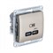 Glossa титан USB розетка тип-C 65W высокоскоростная зарядка QC, PD, механизм GSL000427 - фото 72193