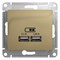 GLOSSA Механизм розетки USB в рамку, 5В/2100мА    титан GSL000433 pe825482 - фото 72218