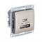 Glossa титан USB розетка A + тип-C 45W высокоскоростная зарядка QC, PD, механизм GSL000429 - фото 72248