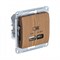 Glossa дерево дуб USB розетка A + тип-C 45W высокоскоростная зарядка QC, PD, механизм GSL000529 - фото 72277