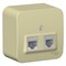 Blanca наружняя бежевый розетка 2-ая: компьютерная RJ45, кат.5E + телефонная RJ11, изолированная пластина BLNIA045117 - фото 72678