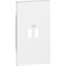 BTicino Living now белый лицевая панель для зарядных устройств USB 2 мод KW12C - фото 72993