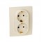 Legrand Etika слоновая кость двойная розетка с заземлением, винтовые клеммы 672323 - фото 75099