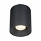 ST LUCE ST167.402.01 Светильник потолочный Черный GU10 1*50W IP20 D80xH95 220V Без ламп ST167.402.01 - фото 94506