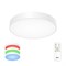 Citilux CL72470G0 Купер Белый Светильник потолочный с RGB CL72470G0 - фото 94851