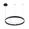 Arte Lamp A1874SP-45BK RICCO люстра LED A1874SP-45BK - фото 99852